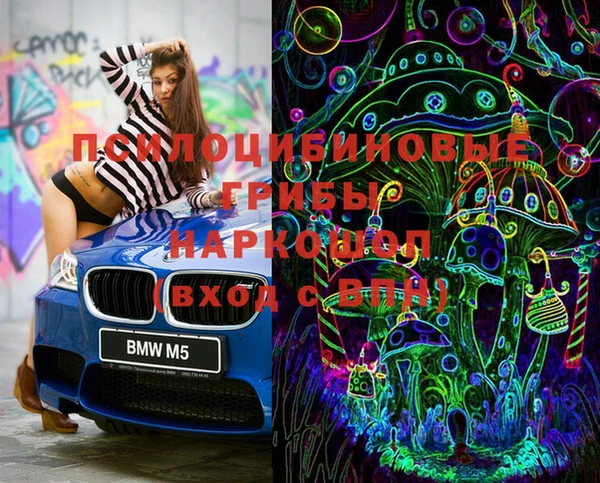 прущие крисы Сатка