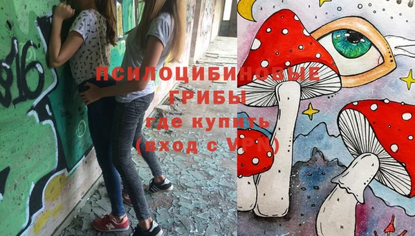 гашик Баксан